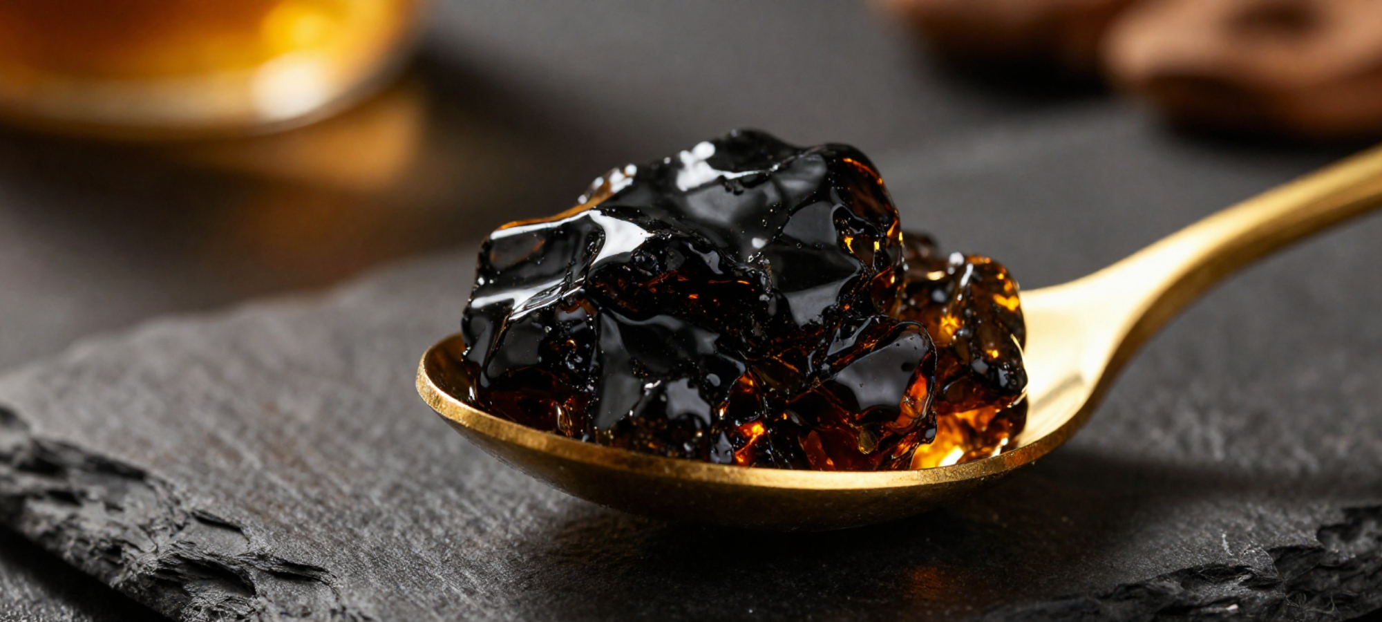 Wat is Shilajit?