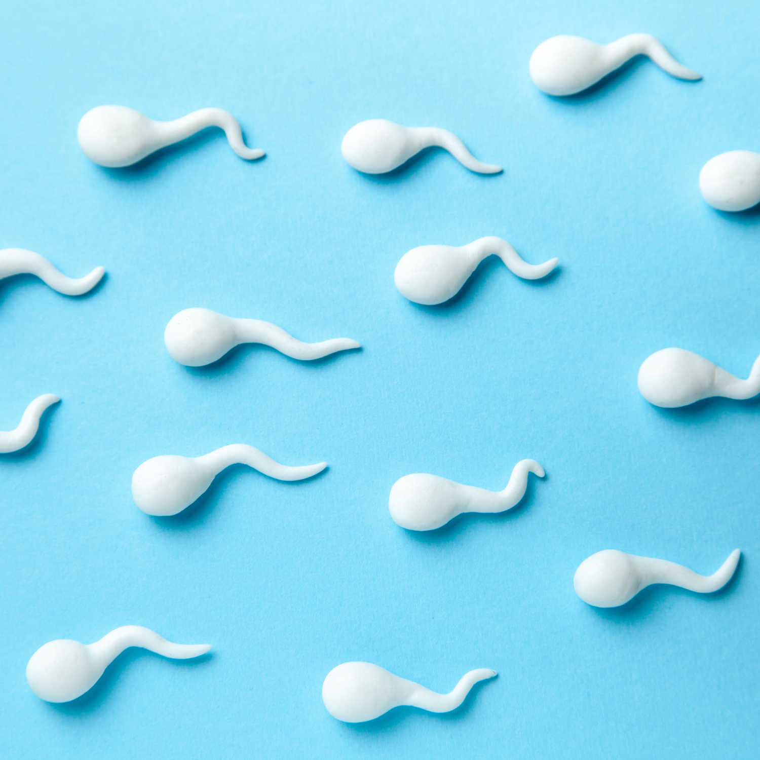 Vaudois | Soutien aux spermatozoïdes