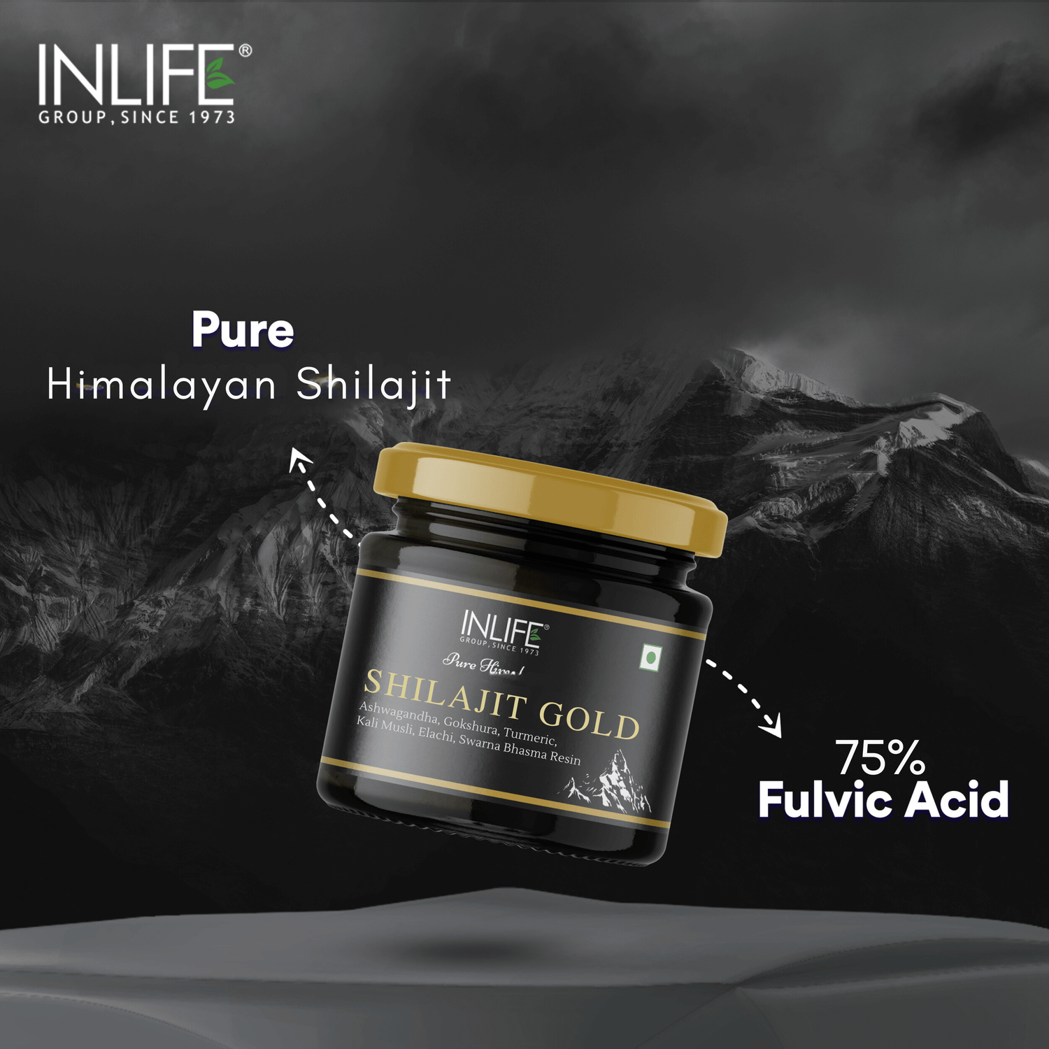 Shilajit pur de l'Himalaya