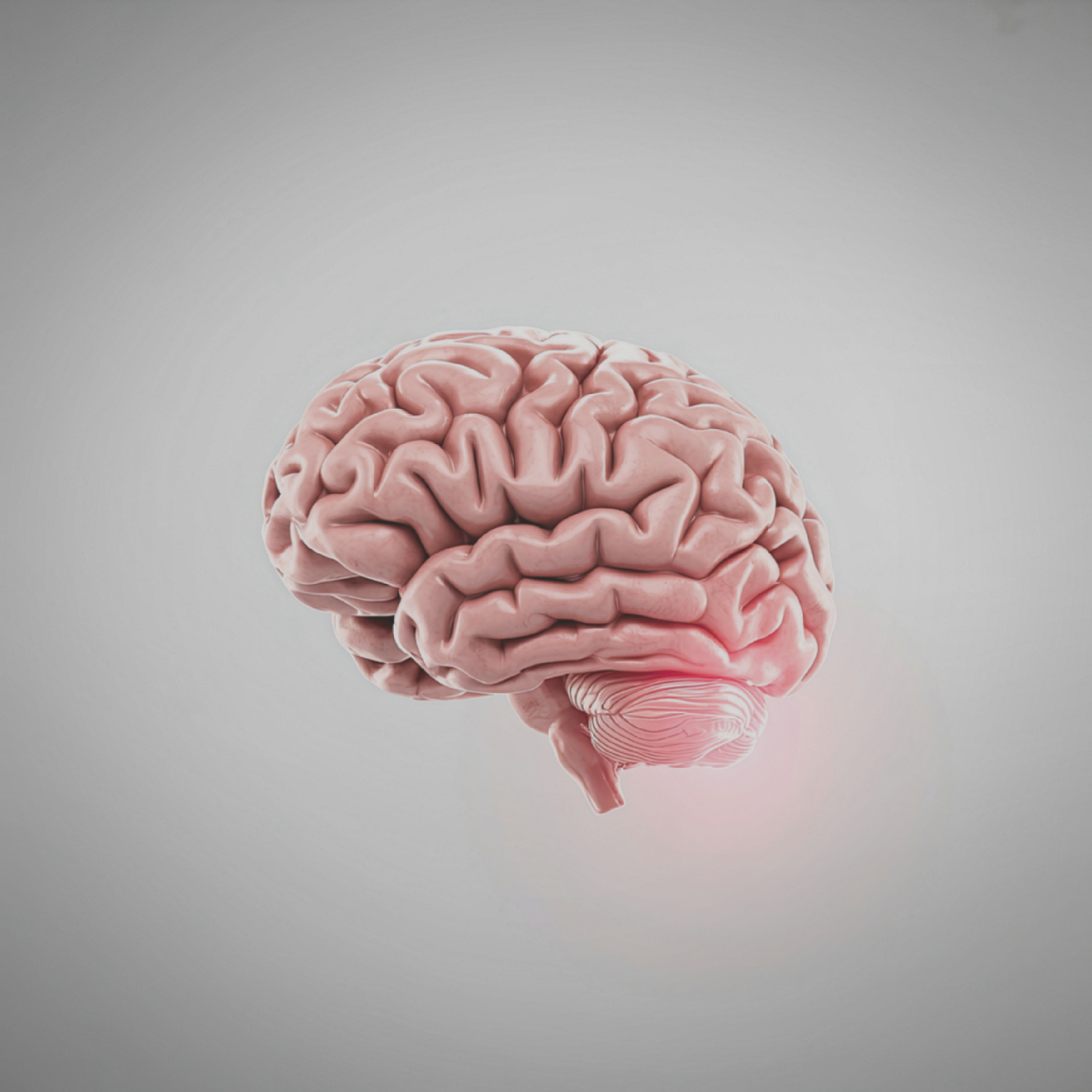 Vitamine B12 et acide alpha-lipoïque