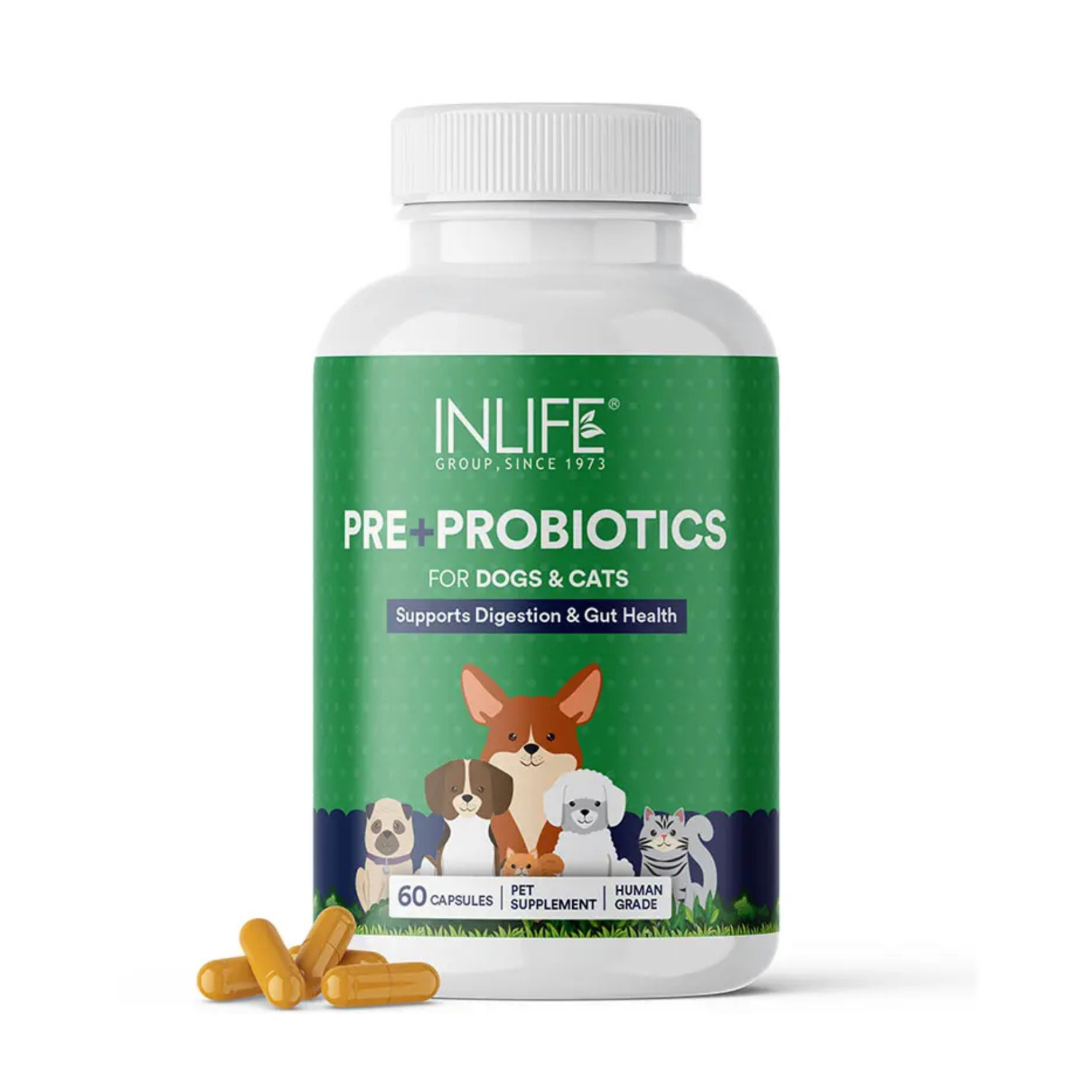 Inlife | Pre + Probiotics voor Honden & Katten - Darmbalans